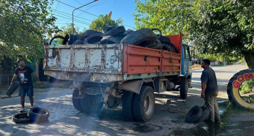 Bella Vista lanza un programa para erradicar los criaderos de mosquitos que transmiten el dengue