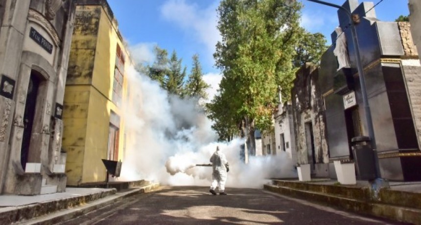 Despliegan operativos para combatir el dengue en los Cementerios del Norte y Jardín