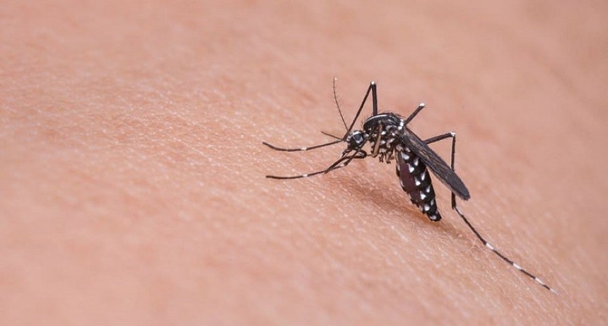 El Ministerio de Salud Pública  informó el fallecimiento de dos pacientes por dengue