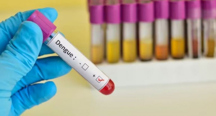 El dengue grave es silencioso y puede ser fatal, pero tiene solución