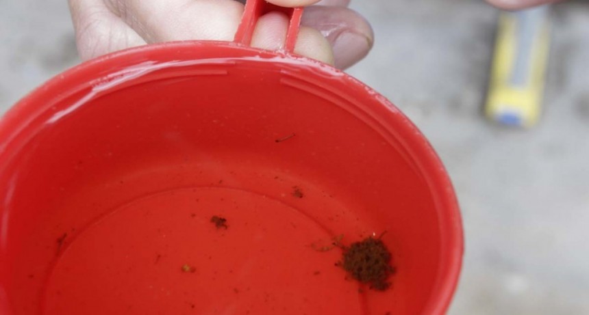 Dengue: La población debe extremar los cuidados pese a las bajas temperaturas