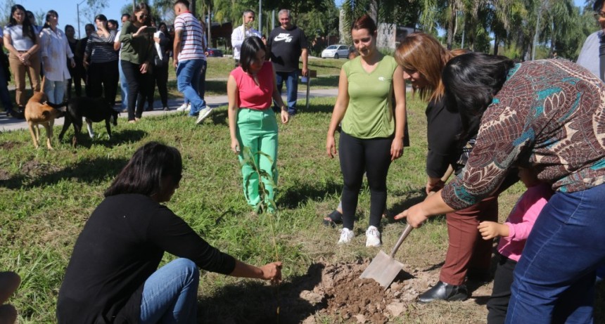 Bella Vista: finalizó con éxito la primera etapa de su programa para erradicar el mosquito que transmite el dengue