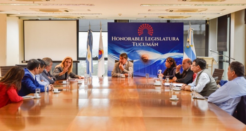 Los legisladores tucumanos analizaron su participación en el Encuentro N°50 del Parlamento del Norte Grande