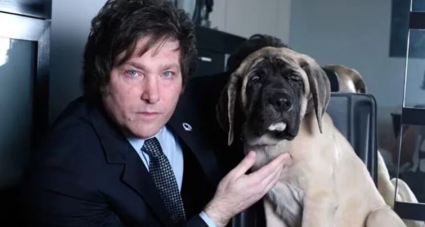 Conan, el perro de Milei, la ligó en el Congreso