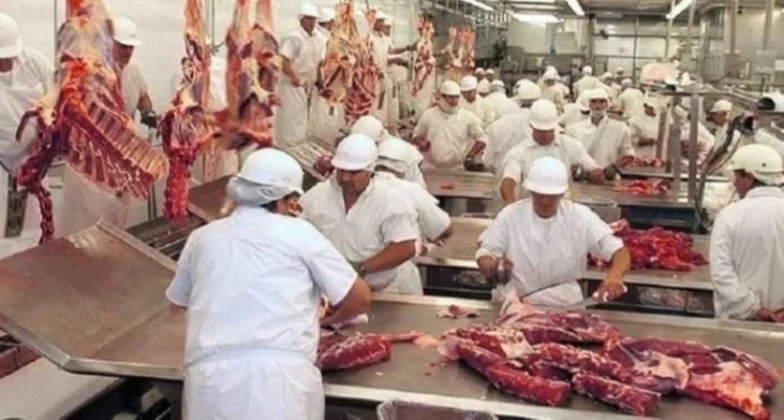 Las exportaciones de carne bovina se desploman: caen 28% en volumen y 7,5% en valor