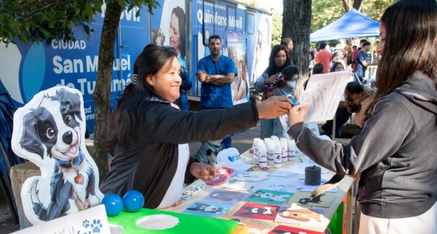 Operativos itinerantes: cómo acceder a castraciones y chequeos gratuitos para mascotas en Tucumán