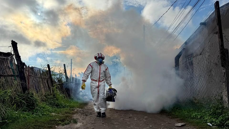 Tucum&aacute;n sum&oacute; 57 nuevos contagios de chikungunya en los &uacute;ltimos d&iacute;as: ya son 93 casos en la provincia