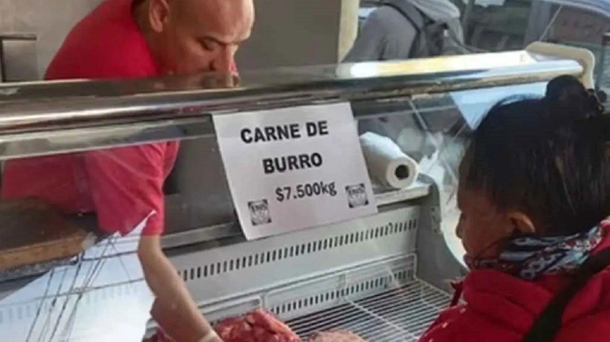 Carne de burro en Argentina: c&oacute;mo es el negocio equino y por qu&eacute; en Tucum&aacute;n no se puede vender