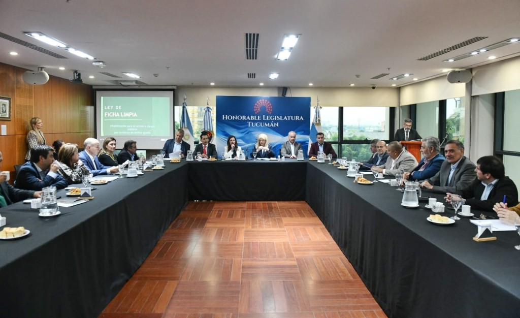 Ficha Limpia: la comisi&oacute;n de Asuntos Constitucionales avanz&oacute; en el debate sobre inhabilitaci&oacute;n de condenados