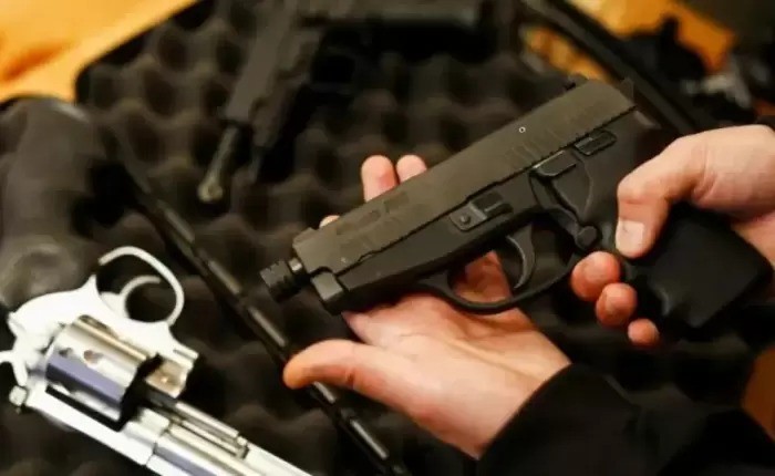 El Senado retoma hoy el debate sobre tenencia de armas y busca dictamen para convertir en ley en mayo