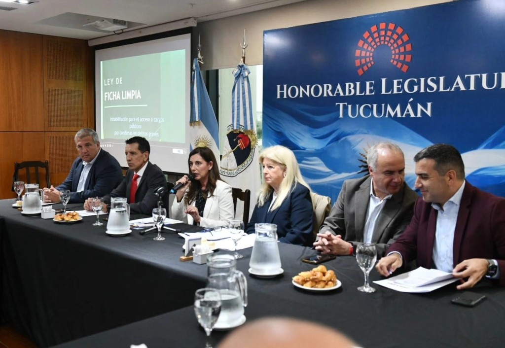 Debate por Ficha Limpia: cuestionamientos t&eacute;cnicos y definiciones clave antes de su aprobaci&oacute;n