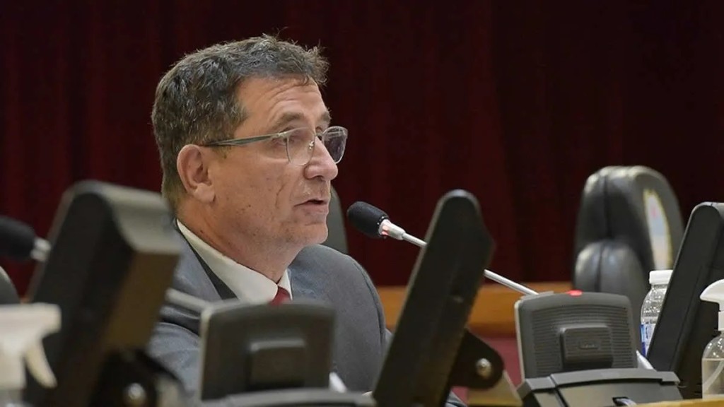 Yedlin advirti&oacute; que la reforma de la Ley de Discapacidad &ldquo;rompe el sistema &uacute;nico de prestaciones&rdquo; y traslada la responsabilidad a las provincias