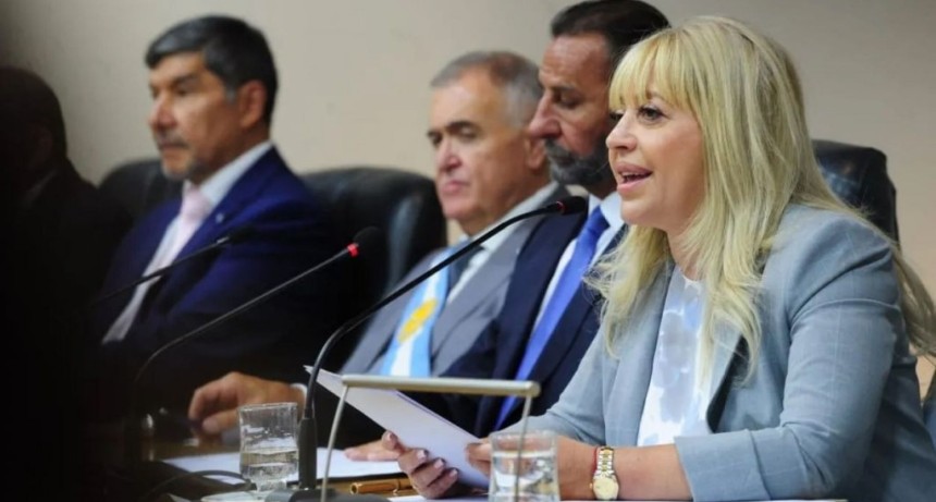 Concejales opositores exigen que Rossana Chahla &ldquo;d&eacute; la cara&rdquo; tras la muerte del nene electrocutado durante el temporal