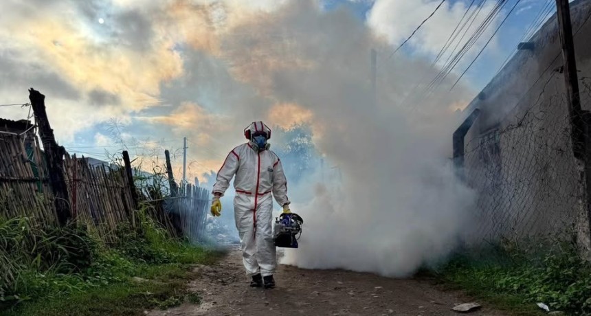 Tucum&aacute;n sum&oacute; 57 nuevos contagios de chikungunya en los &uacute;ltimos d&iacute;as: ya son 93 casos en la provincia