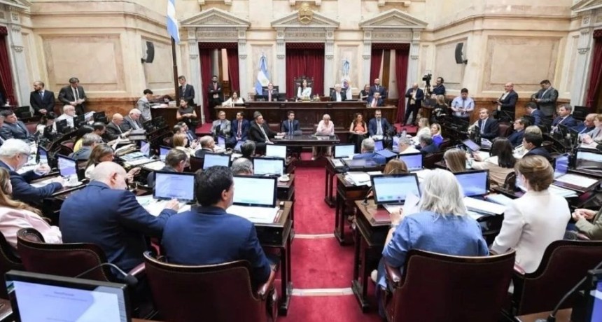 El gobierno envi&oacute; al Senado un proyecto para modificar la Ley de Emergencia en Discapacidad y endurecer el acceso a pensiones