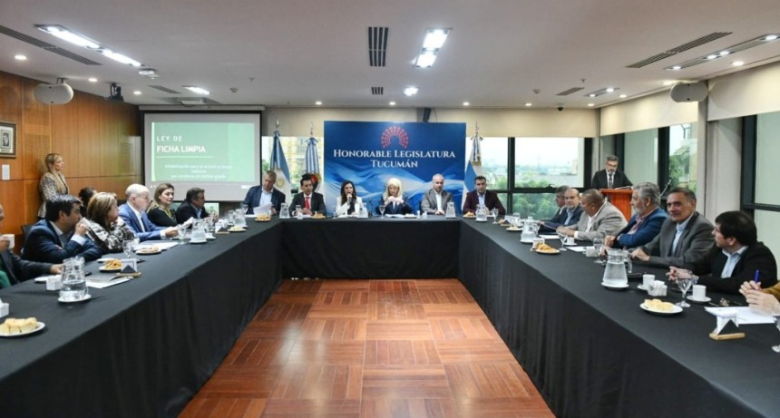 Ficha Limpia: la comisi&oacute;n de Asuntos Constitucionales avanz&oacute; en el debate sobre inhabilitaci&oacute;n de condenados