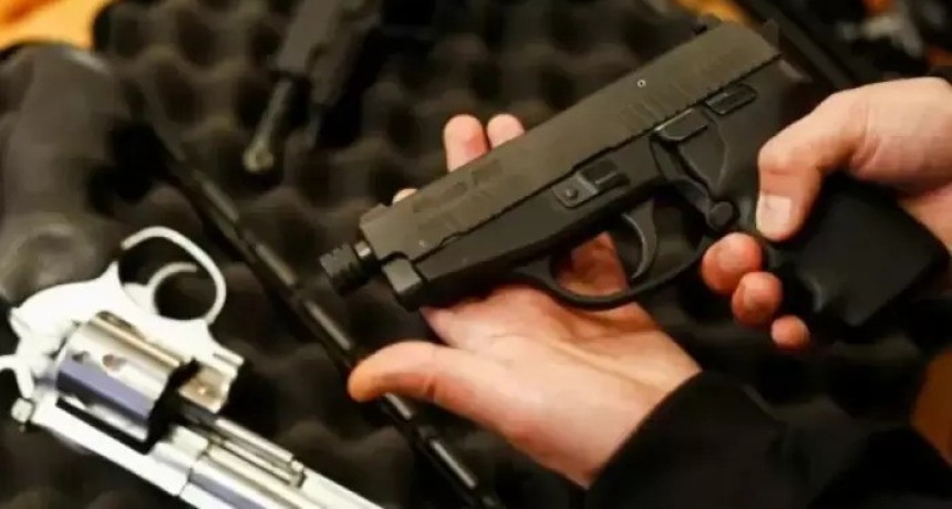 El Senado retoma hoy el debate sobre tenencia de armas y busca dictamen para convertir en ley en mayo