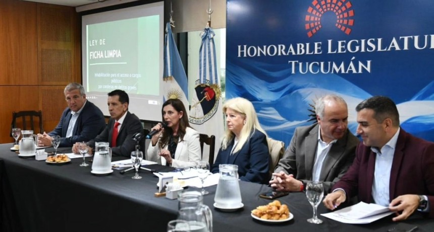 Debate por Ficha Limpia: cuestionamientos t&eacute;cnicos y definiciones clave antes de su aprobaci&oacute;n