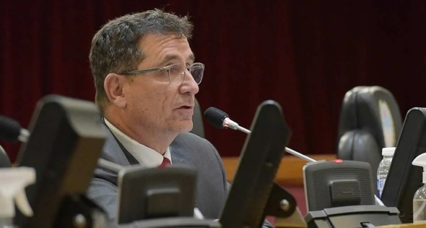 Yedlin advirti&oacute; que la reforma de la Ley de Discapacidad &ldquo;rompe el sistema &uacute;nico de prestaciones&rdquo; y traslada la responsabilidad a las provincias