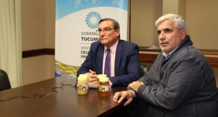 Miel de azahar de limón: primer producto tucumano con identificación geográfica
