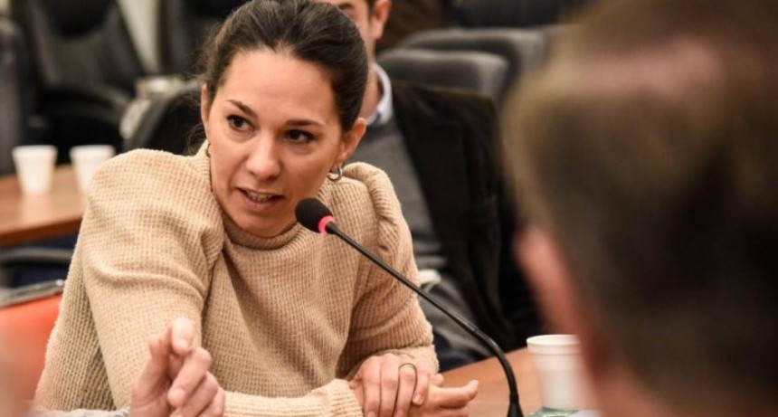 Omodeo propone transformar las empresas estatales en sociedades anónimas