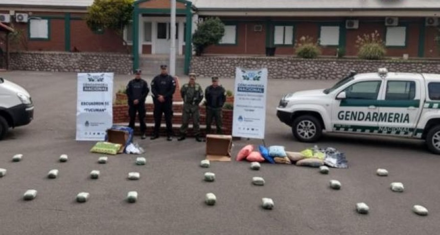 Secuestran más de 25 kilos de marihuana en el paraje Molle Yaco