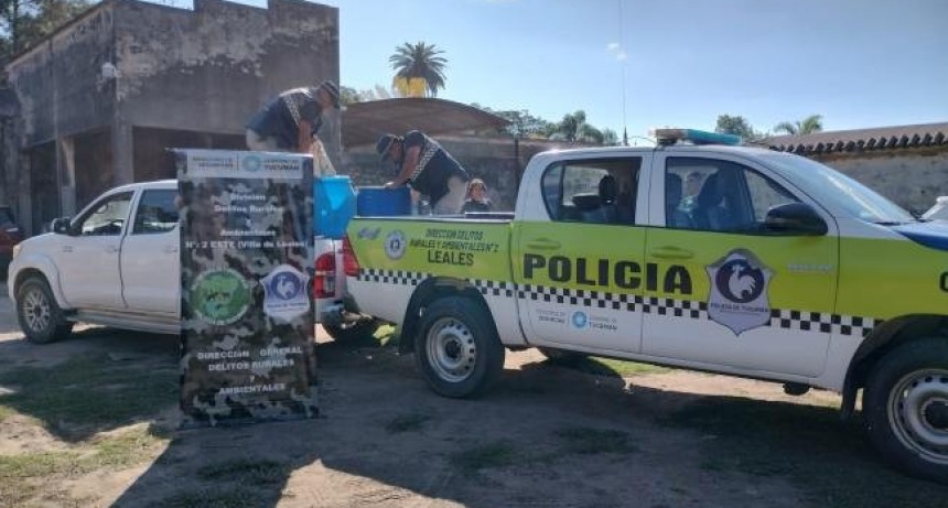 Secuestran 700 kilos de achuras que eran transportados sin cadena de frío