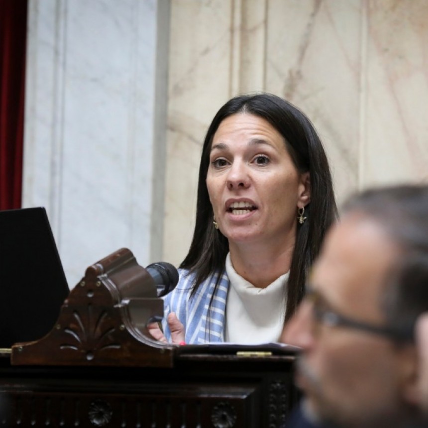 Presentan un proyecto para transformar las empresas estatales en sociedades anónimas