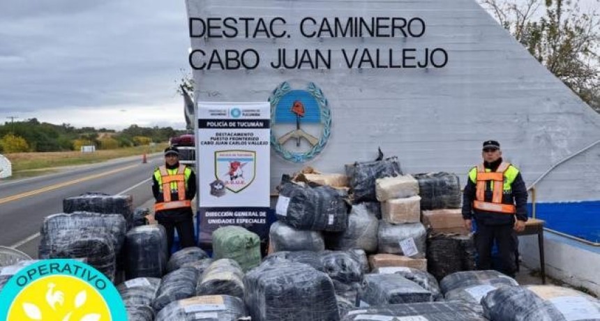 Secuestran mercadería ilegal valuada en $15.000.000