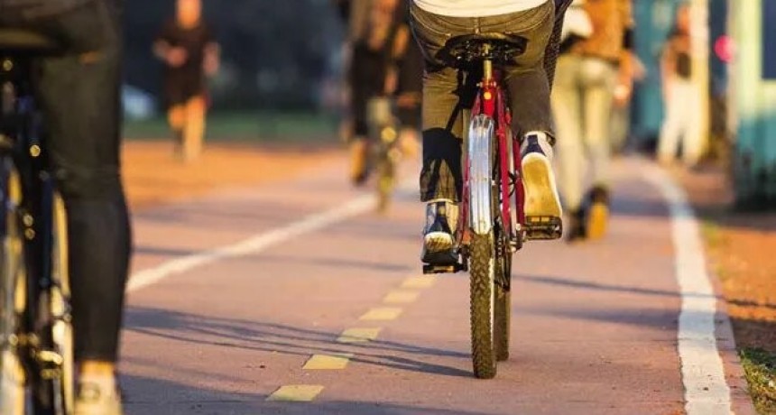 El Municipio analiza la creación de bicisendas en la ciudad