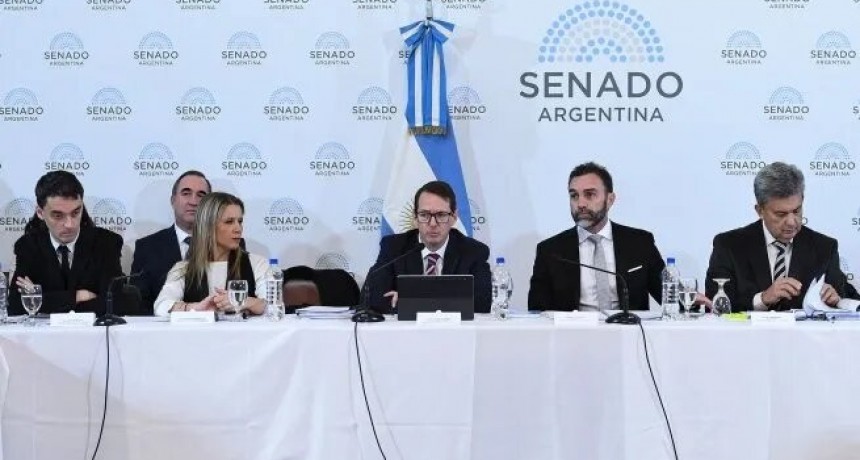 Ley Bases en Senado: concluye la ronda de expositores y el dictamen sigue siendo una incógnita