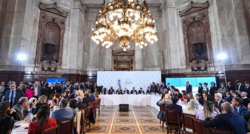 Ley de Bases y paquete fiscal: concluye la ronda de expositores en el Senado y el dictamen toma forma