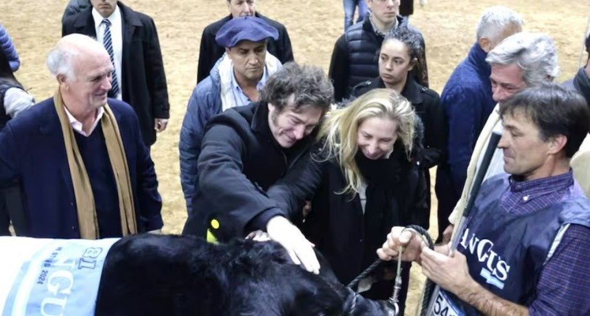Milei en La Rural: “Vamos a eliminar el Impuesto País y luego las retenciones para que el campo sea libre”