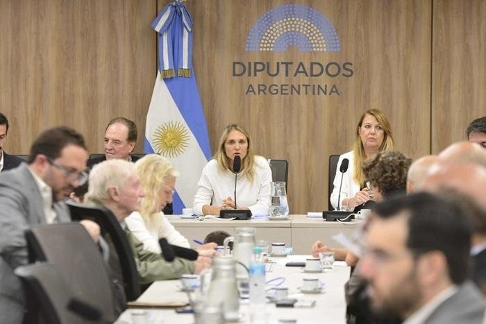 Diputados debate hoy proyectos para reactivar la moratoria previsional