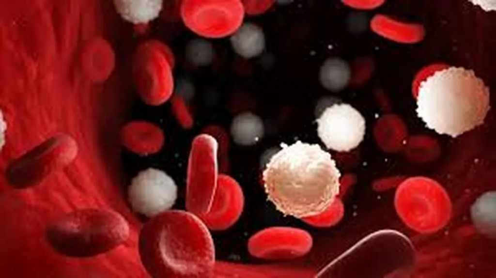 Cáncer de sangre: 30 diagnósticos diarios y la lucha por detectarlo a tiempo