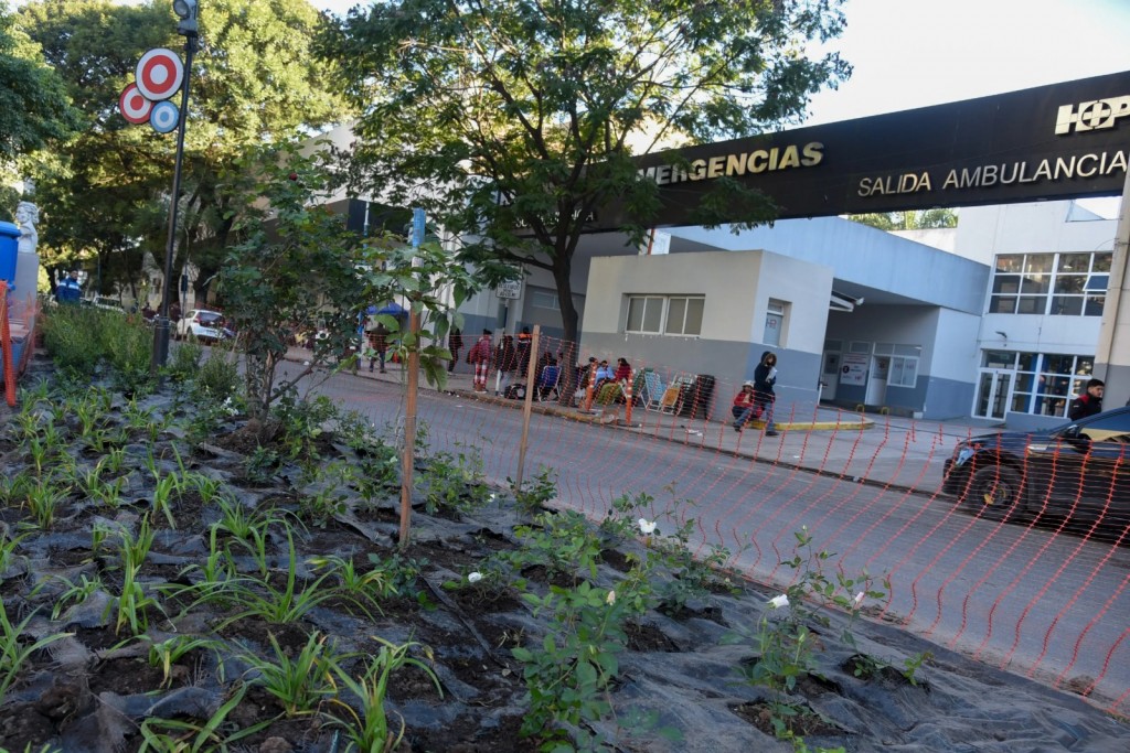 Operativo de mejoras en el Paseo de los Libertadores