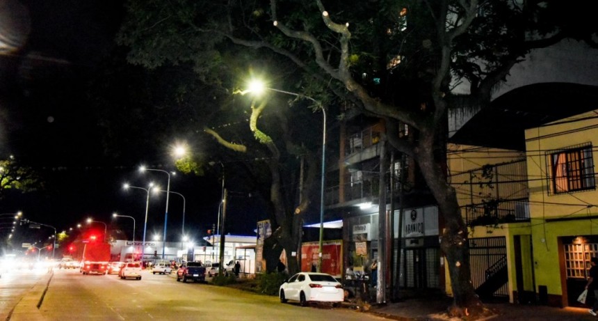 Mejoró la iluminación en avenida Colón tras una poda estratégica de 101 árboles