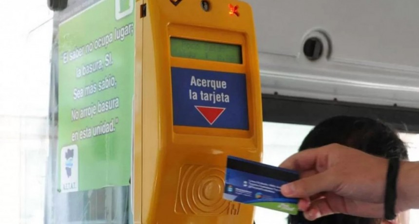 Chahla ordena devolución de saldos de Tarjeta Ciudadana: cómo y dónde reclamarlo