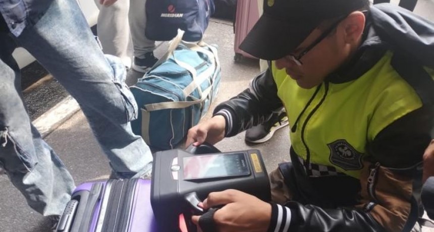 Operativo antidrogas en terminal tucumana: allanan colectivos y paquetes con perros entrenados
