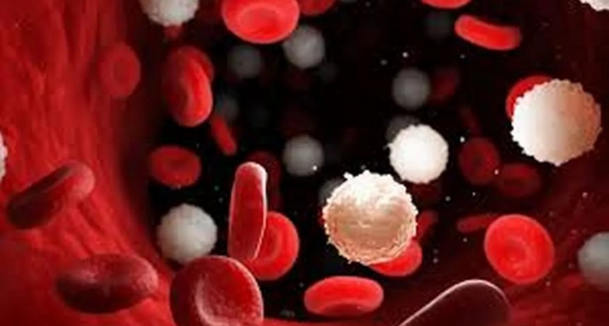 Cáncer de sangre: 30 diagnósticos diarios y la lucha por detectarlo a tiempo