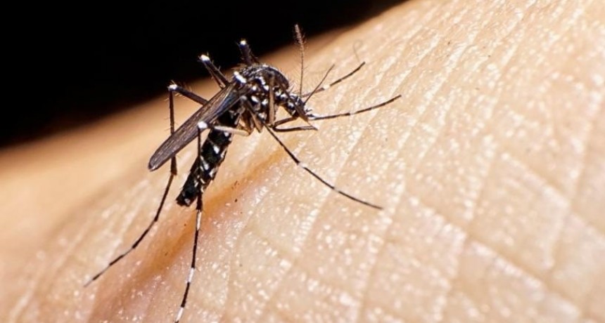 Tucumán reporta 54 casos de dengue y baja en enfermedades respiratorias