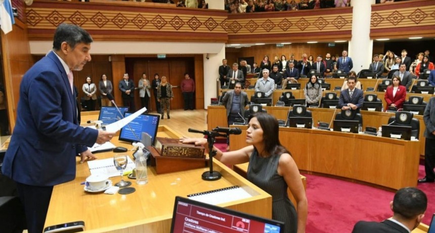 Patricia Lizárraga juró como nueva legisladora tucumana