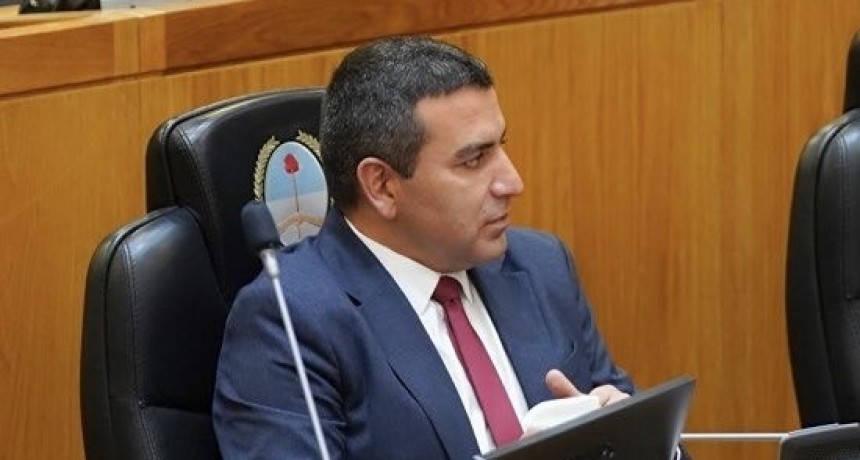 La Legislatura tucumana repudió la crítica situación del sector de discapacidad a nivel nacional