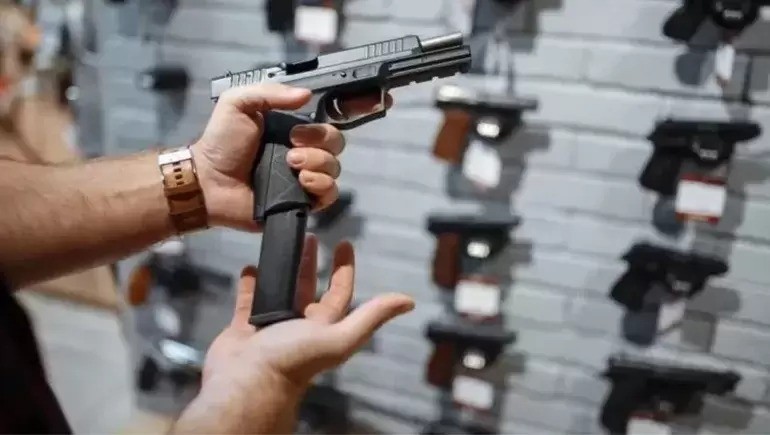 El Senado convirti&oacute; en ley la regularizaci&oacute;n de tenencia de armas y pr&oacute;rroga del plan de entrega voluntaria