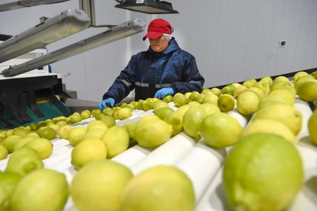 El empleo privado formal en Tucum&aacute;n creci&oacute; 0,1% en febrero, pero la provincia a&uacute;n no vuelve a los niveles de 2023
