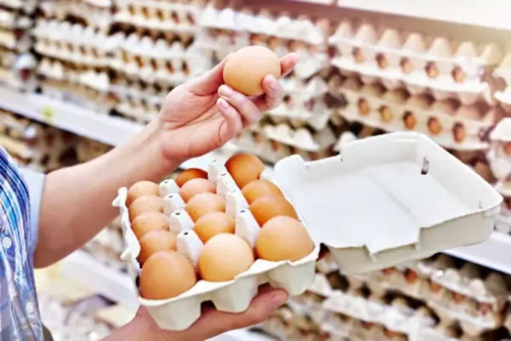 Exportaci&oacute;n r&eacute;cord de huevos: Argentina cubri&oacute; la cuota total hacia la Uni&oacute;n Europea bajo el acuerdo Mercosur-UE