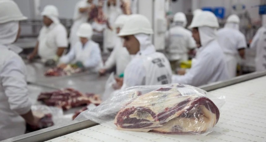 Mercosur-UE: vigencia provisional con desgravaci&oacute;n asim&eacute;trica y cuotas para carne, az&uacute;car y miel