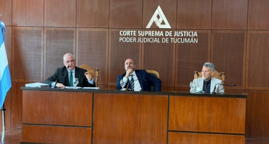 El juez Fradejas cuestion&oacute; la &ldquo;falta de investigaci&oacute;n&rdquo; del fiscal Sale y compar&oacute; el juicio por Paulina Lebbos con una &ldquo;arqueolog&iacute;a forense&rdquo;