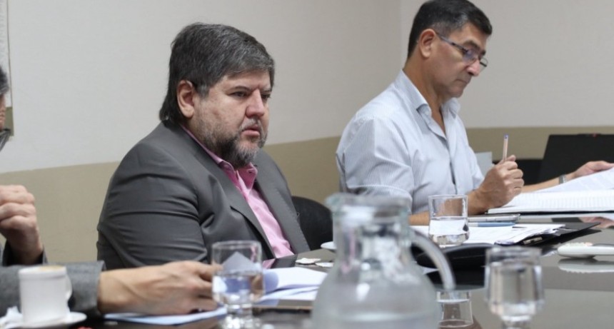 La Comisi&oacute;n de transporte avanz&oacute; con el pedido de informe impulsado Ale y Gonz&aacute;lez