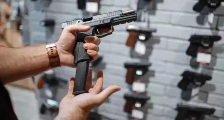 El Senado convirti&oacute; en ley la regularizaci&oacute;n de tenencia de armas y pr&oacute;rroga del plan de entrega voluntaria